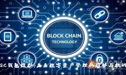 SC钱包维护：未来数字资产管理的趋势与挑战