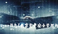 什么是Ledger钱包？数字资产安全管理的未来趋势