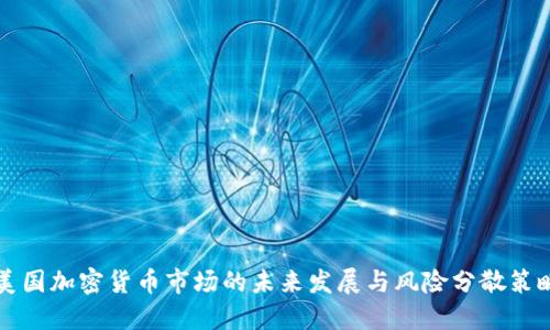 美国加密货币市场的未来发展与风险分散策略
