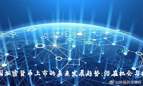 美国加密货币上市的未来发展趋势：潜在机会与挑战