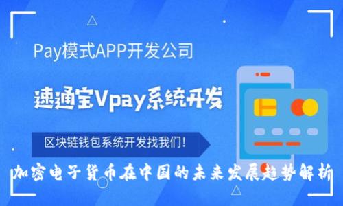 加密电子货币在中国的未来发展趋势解析