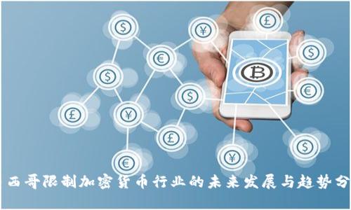 墨西哥限制加密货币行业的未来发展与趋势分析