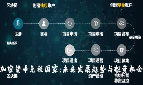 加密货币免税国家：未来发展趋势与投资机会