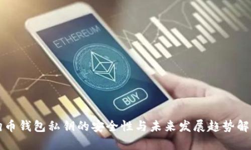 狗币钱包私钥的安全性与未来发展趋势解析
