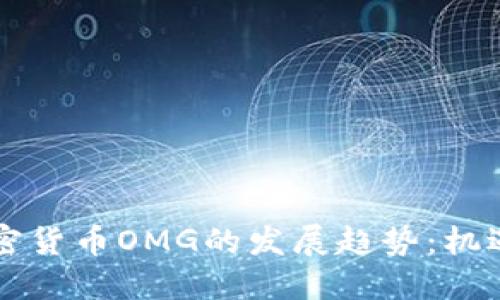 未来加密货币OMG的发展趋势：机遇与挑战