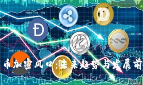 数字货币加密风口：未来趋势与发展前景分析