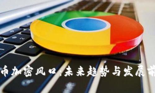 数字货币加密风口：未来趋势与发展前景分析