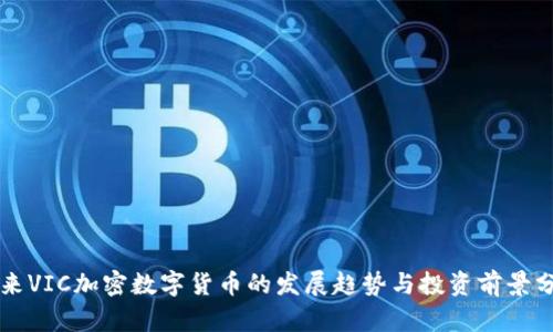 未来VIC加密数字货币的发展趋势与投资前景分析