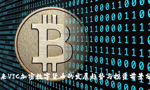 未来VIC加密数字货币的发展趋势与投资前景分析