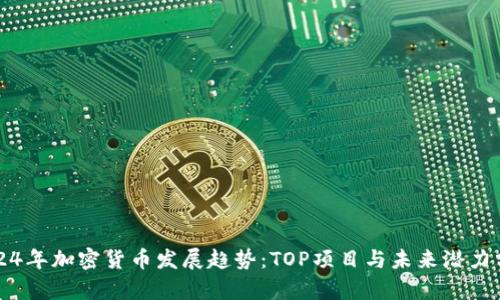 2024年加密货币发展趋势：TOP项目与未来潜力分析