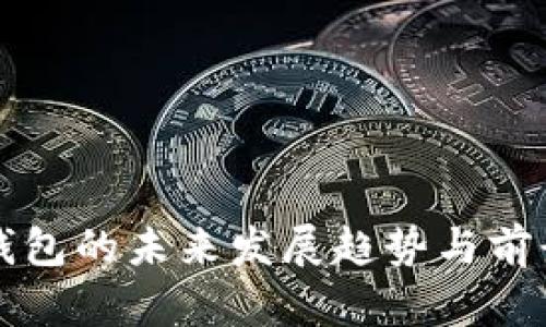 大点钱包的未来发展趋势与前景分析