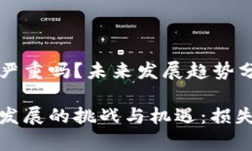 加密货币损失严重吗？未来发展趋势分析

加密货币未来发展的挑战与机遇：损失的严重性分析
