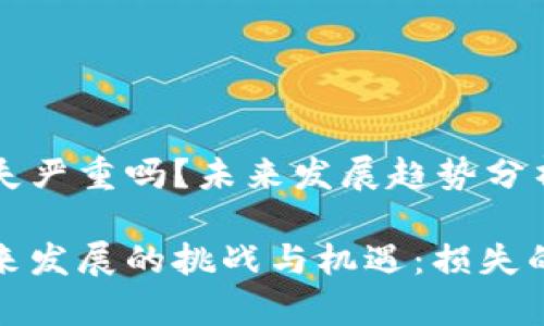 加密货币损失严重吗？未来发展趋势分析

加密货币未来发展的挑战与机遇：损失的严重性分析