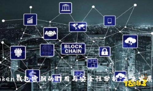 imToken钱包密钥的作用与安全性分析:未来发展趋势