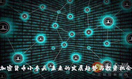 加密货币小拳头:未来的发展趋势与投资机会