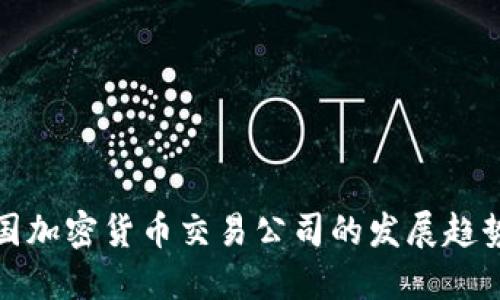 未来中国加密货币交易公司的发展趋势与机遇