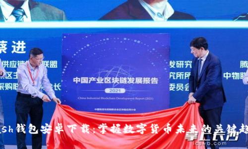 Dash钱包安卓下载:掌握数字货币未来的关键趋势