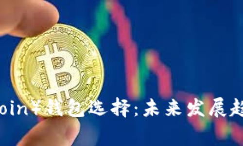 狗狗币(Dogecoin)钱包选择:未来发展趋势与使用指南