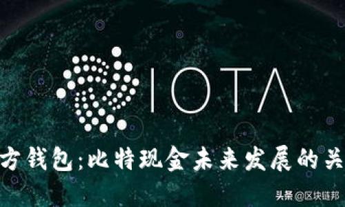 BCH官方钱包：比特现金未来发展的关键趋势