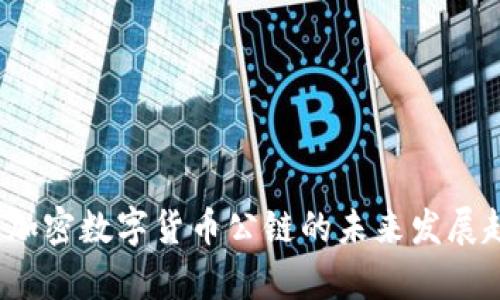 2024年加密数字货币公链的未来发展趋势分析