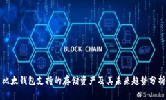 比太钱包支持的存储资产及其未来趋势分析