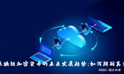 区块链加密货币的未来发展趋势:如何辨别真伪
