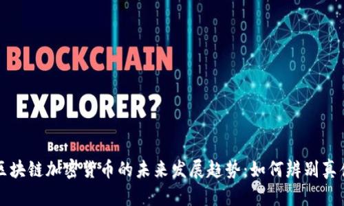 区块链加密货币的未来发展趋势:如何辨别真伪