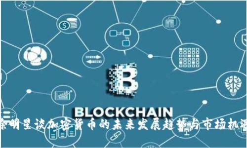 徐明星谈加密货币的未来发展趋势与市场机遇