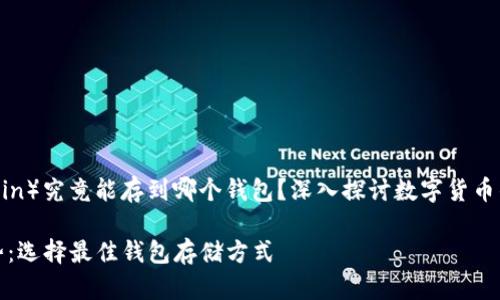 椰子币（Coconut Coin）究竟能存到哪个钱包？深入探讨数字货币的存储方式与安全性

椰子币未来发展趋势：选择最佳钱包存储方式