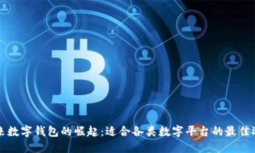 未来数字钱包的崛起:适合各类数字平台的最佳选择