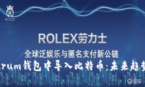 如何在Electrum钱包中导入比特币：未来趋势与全面指南