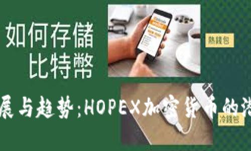 未来发展与趋势:HOPEX加密货币的潜力探索