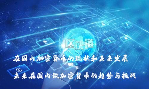 在国内加密货币的现状和未来发展
未来在国内做加密货币的趋势与挑战