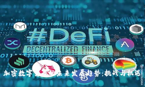 加密数字货币的未来发展趋势:挑战与机遇