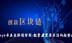 Polydoge币未来涨幅分析：投资者需要关注的趋势和