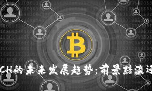 虚拟币ACH的未来发展趋势：前景黯淡还是光明？