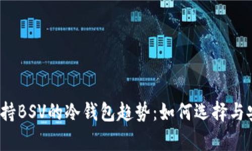 2024年支持BSV的冷钱包趋势：如何选择与安全性分析