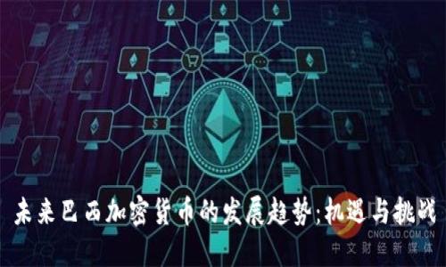 未来巴西加密货币的发展趋势：机遇与挑战