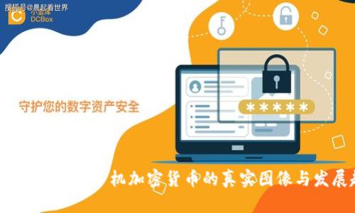 未来数字货币：手机加密货币的真实图像与发展趋势