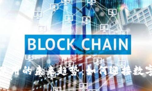 爱尔兰加密货币使用的未来趋势：如何迎接数字货币时代的浪潮