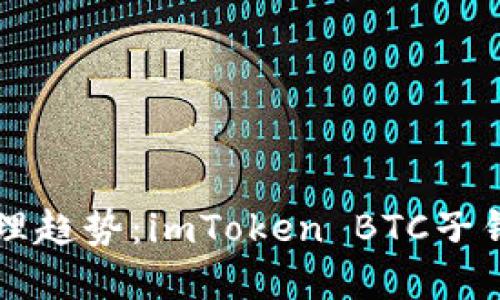 未来数字资产管理趋势:imToken BTC子钱包的崛起与发展