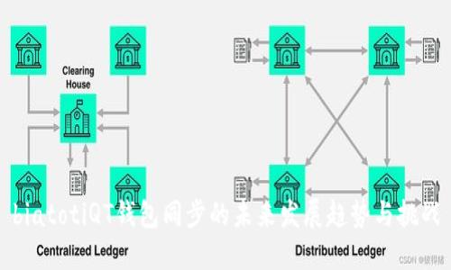 biatotiQT钱包同步的未来发展趋势与挑战