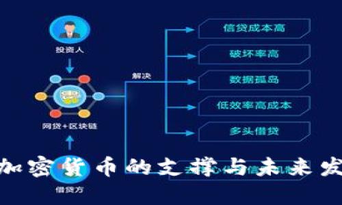 Visa对加密货币的支撑与未来发展趋势