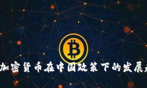 2023年加密货币在中国政策下的发展趋势分析