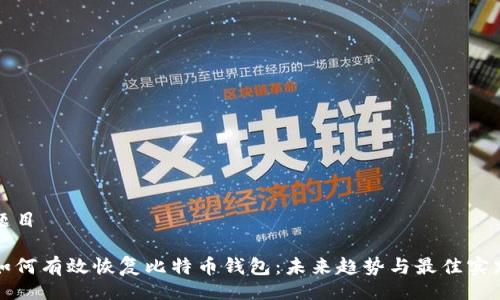 题目

如何有效恢复比特币钱包：未来趋势与最佳实践