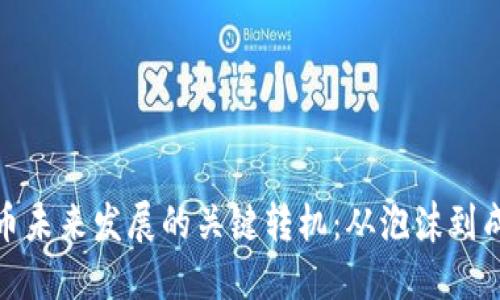 加密货币未来发展的关键转机：从泡沫到成熟市场