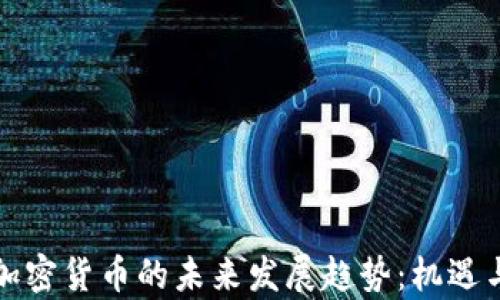 
毛里求斯加密货币的未来发展趋势：机遇与挑战并存