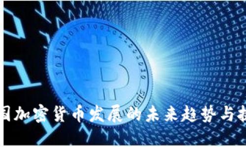 中国加密货币发展的未来趋势与挑战