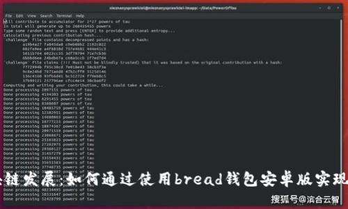 iniaoti未来的区块链发展：如何通过使用bread钱包安卓版实现你的数字资产管理