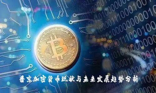 普京加密货币现状与未来发展趋势分析